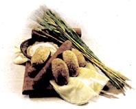 panif-img3.jpg (15251 bytes)