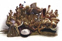verone2.jpg (16634 bytes)